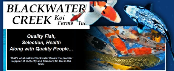 BlackWater Koi Farms